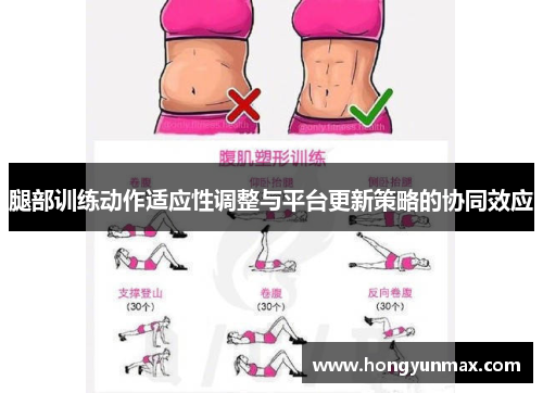 腿部训练动作适应性调整与平台更新策略的协同效应